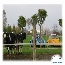 image11